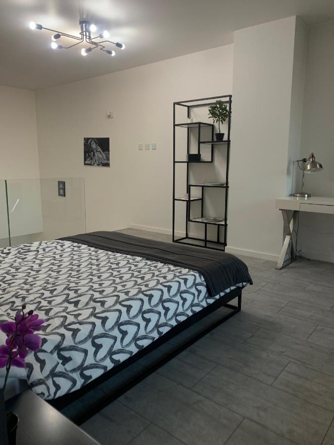 Ekskluzywny Penthouse Z Ogrodem W Centrum Lodzi Экстерьер фото